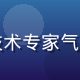 技术顾问刘建国，中年男性，技术专家气质，服务器机房背景，专注认真